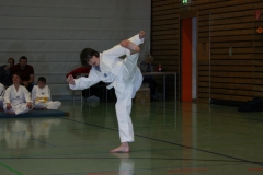 IMG_9528_bearbeitet-1