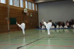 IMG_9532_bearbeitet-1