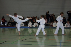 IMG_9536_bearbeitet-1