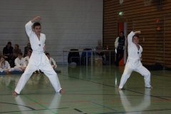 IMG_9547_bearbeitet-1