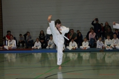 IMG_9549_bearbeitet-1