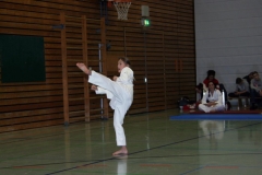 IMG_9555_bearbeitet-1