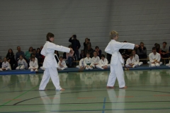 IMG_9557_bearbeitet-1