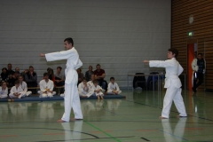 IMG_9558_bearbeitet-1