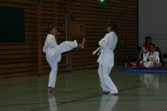 IMG_9563_bearbeitet-1