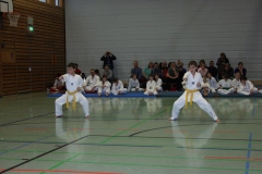 IMG_9568_bearbeitet-1