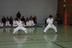 IMG_9569_bearbeitet-1