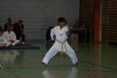 IMG_9573_bearbeitet-1