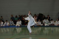 IMG_9577_bearbeitet-1