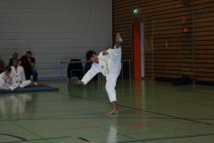 IMG_9581_bearbeitet-1