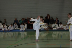 IMG_9583_bearbeitet-1