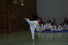 IMG_9584_bearbeitet-1