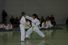IMG_9594_bearbeitet-1