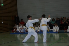 IMG_9596_bearbeitet-1