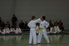 IMG_9598_bearbeitet-1