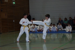 IMG_9601_bearbeitet-1