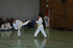 IMG_9602_bearbeitet-1