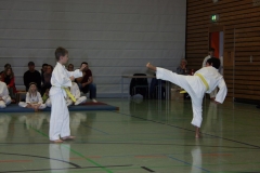 IMG_9603_bearbeitet-1