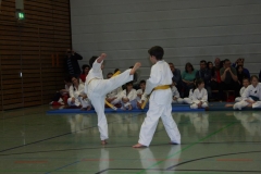 IMG_9605_bearbeitet-1
