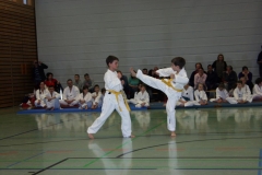 IMG_9606_bearbeitet-1