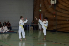 IMG_9607_bearbeitet-1