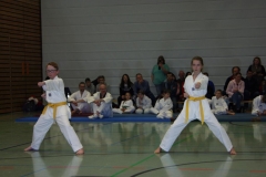 IMG_9608_bearbeitet-1