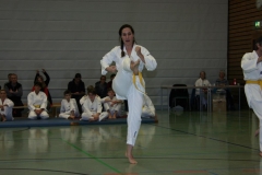 IMG_9620_bearbeitet-1