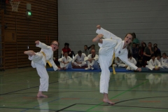IMG_9629_bearbeitet-1