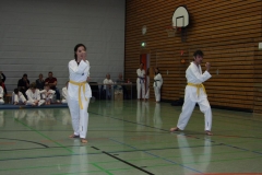 IMG_9631_bearbeitet-1