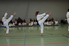 IMG_9632_bearbeitet-1