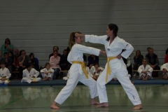 IMG_9640_bearbeitet-1