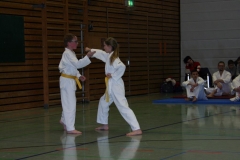 IMG_9641_bearbeitet-1