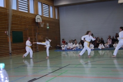 IMG_9648_bearbeitet-1