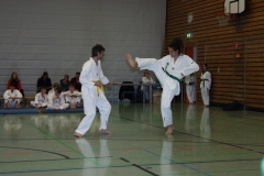 IMG_9650_bearbeitet-1