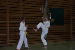 IMG_9652_bearbeitet-1