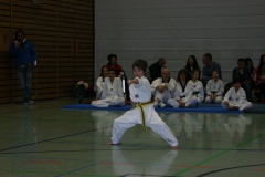 IMG_9657_bearbeitet-1