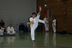 IMG_9664_bearbeitet-1