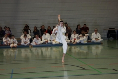 IMG_9665_bearbeitet-1