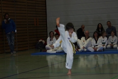 IMG_9667_bearbeitet-1