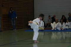 IMG_9671_bearbeitet-1