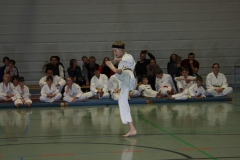 IMG_9675_bearbeitet-1