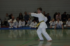 IMG_9682_bearbeitet-1