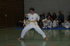 IMG_9688_bearbeitet-1