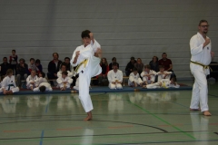 IMG_9694_bearbeitet-1