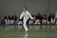 IMG_9695_bearbeitet-1