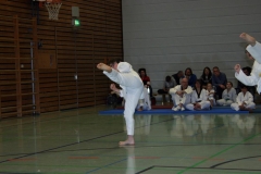 IMG_9697_bearbeitet-1