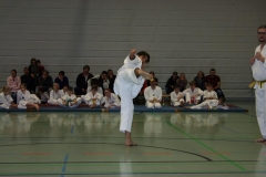 IMG_9703_bearbeitet-1