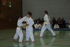 IMG_9718_bearbeitet-1