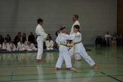IMG_9720_bearbeitet-1