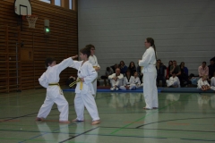 IMG_9722_bearbeitet-1